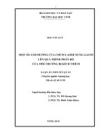 Một số ảnh hưởng của chùm laser xung gauss lên quá trình phân bố của môi trường bị kích thích