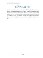 Nghiên cứu về cấu trúc và kỹ thuật trong MPLS