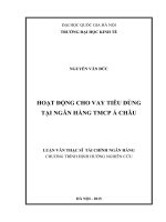 Hoạt động cho vay tiêu dùng tại ngân hàng TMCP á châu 