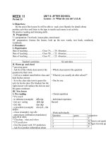 GIÁO ÁN TIẾNG ANH LỚP 7 Unit 6 tiết 33