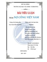 Thực Trạng Nợ Công Tại Việt Nam