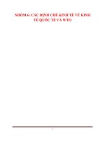 CÁC ĐỊNH CHẾ KINH TẾ VỀ KINH  TẾ QUỐC TẾ VÀ WTO