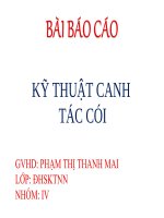 kĩ thuat canh tac cối