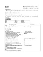 GIÁO ÁN TIẾNG ANH LỚP 7 Unit 7 tiết 41