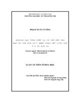 Nghiên cứu tính chất và cơ chế hấp phụ một số ion kim loại nặng trên vật liệu chế tạo từ bùn đỏ