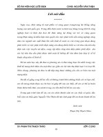 Thiết kế mạng lưới điện cho một khu vực gồm các hộ tiêu thụ điện loại I và loại III