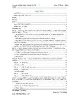 Tổ chức quản lý và công tác kế toán tại Công ty TNHH ĐTXL  SX Bê tông Chèm Gia Viễn Cát Tường