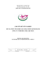 PHÂN TÍCH HIỆU QUẢ HOẠT ĐỘNG KINH DOANH CÔNG TY TNHH HÓA NHỰA ĐỆ NHẤT