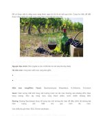 Để có được một ly uống rượu vang thơm ngon thì đó là cả một quy trình