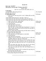 giáo án vnen tuần 33 lơp 4