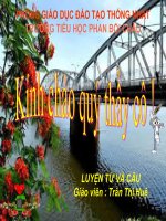 bài soạn luyện từ và câu tính từ