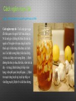 Cách ngâm rượu tỏi đặc biệt