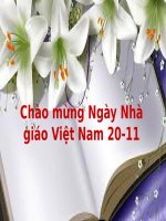 Chào mừng ngày nhà giáo việt nam 20 11 
