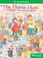 The flower hunt 