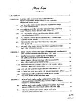 Vai trò của các ngân hàng thương mại trong việc thực hiện chiến lược tạo vốn trong và ngoài nước