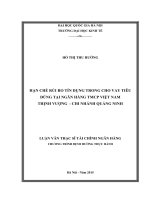 Hạn chế rủi ro tín dụng trong cho vay tiêu dùng tại ngân hàng TMCP việt nam thịnh vượng   chi nhánh quảng ninh 