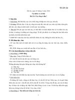 Tuần 24   TNXH 2   cây sống ở đâu