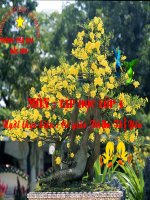 bài giảng tập đọc 4 tiếng sáo diều