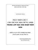 phát triển chú ý cho trẻ mắc hội chứng adhd trong lớp học hòa nhập mầm non 
