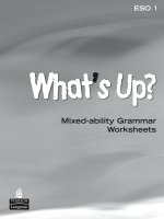 Whats up mixed ability grammar worksheets 