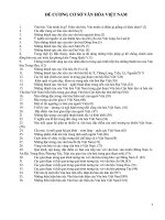 đề cương cơ sở văn hóa VN