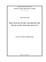 Phân tích gen mã hóa cho protein NHX liên quan đến tính chịu mặn ở lúa 