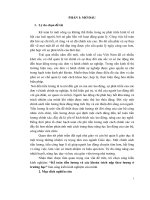 SKKN kế toán tiền lương và các khoản trích nộp theo lương ở trường học