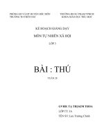 Thú nhà  Tự nhiên xã hội lớp 3