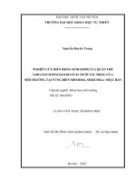 Nghiên cứu biến động sinh khối của quần thể sargassum tinggoldianum dưới tác động của môi trường tại vùng biển shimoda, shizuoka, nhật bản 