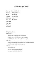 Phát triển thẩm mỹ giáo án tạo hình đề tài quả chín