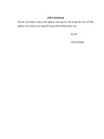 Nâng cao năng lực tổ chức hoạt động giáo dục thể chất tại trường mầm non phúc thắng  thị xã phúc yên 