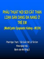 Phẫu thuật nọi soi cắt thận loạn sản dạng đa nang ở trẻ em 