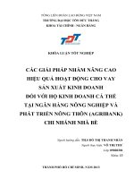 CÁC GIẢI PHÁP NHẰM NÂNG CAO HIỆU QUẢ HOẠT ĐỘNG CHO VAY SẢN XUẤT KINH DOANH ĐỐI VỚI HỘ KINH DOANH CÁ THỂ TẠI NGÂN HÀNG NÔNG NGHIỆP VÀ PHÁT TRIỂN NÔNG THÔN (AGRIBANK) CHI NHÁNH NHÀ BÈ