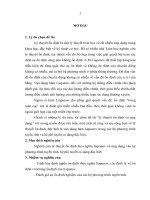 Nghiên cứu lý thuyết ổn định theo nghĩa liapunov và ứng dụng vào hệ phương trình tuyến tính, hệ phi tuyến có dạng đặc biệt 