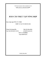 Báo cáo thực tập quản trị kinh doanh: Công ty TNHH Thép và Vật Tư Hoàng Hải.