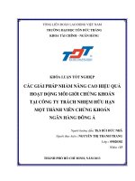 CÁC GIẢI PHÁP NHẰM NÂNG CAO HIỆU QUẢ HOẠT ĐỘNG MÔI GIỚI CHỨNG KHOÁN TẠI CÔNG TY TRÁCH NHIỆM HỮU HẠN MỘT THÀNH VIÊN CHỨNG KHOÁN NGÂN HÀNG ĐÔNG Á