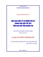 Hiệu quả kinh tế và những rủi ro trong sản xuất hồ tiêu trên địa bàn tỉnh Quảng Trị