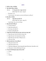 19 ĐỀ THI Tiếng việt LỚP 2 NĂM 20152016