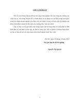 Đánh giá thực trạng tài chính và cácbiện pháp cải thiện tình hình tài chính của Công ty TNHH sản xuất và thương mạiThu Dũng