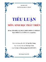 tiểu luận sự phát triển phôi và hậu phôi ở ếch