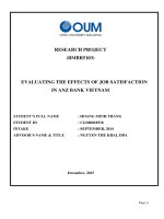 Evaluating the effects of job satisfaction in ANZ bank vietnam 