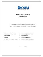 Consequences of job satisfaction at pyramid consulting viet nam LTD 