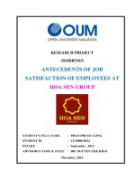 Antecedents of job satisfaction of employees at hoa sen group 