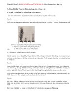 Giải bài 1,2,3 trang 27 SGK Sinh 11: Dinh dưỡng nitơ ở thực vật