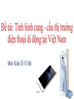 BÀI GIẢNG ĐIỆN TỬ: Tình hình cung  cầu thị trường điện thoại di động tại Việt Nam