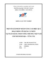 MỘT SỐ GIẢI PHÁP NHẰM NÂNG CAO HIỆU QUẢ HOẠT ĐỘNG TÍN DỤNG CÁ NHÂN TẠI NGÂN HÀNG TMCP CÔNG THƯƠNG VIỆT NAM CHI NHÁNH BÀ RỊA – VŨNG TÀU