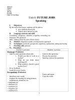 LESSON PLAN UNIT 6  ENGLISH 12