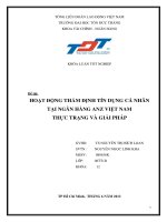 HOẠT ĐỘNG THẨM ĐỊNH TÍN DỤNG CÁ NHÂN TẠI NGÂN HÀNG ANZ VIỆT NAM THỰC TRẠNG VÀ GIẢI PHÁP