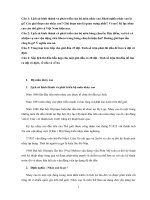 TIỂU LUẬN: Giáo dục thể chất