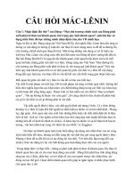 CÂU HỎI VÀ ĐÁP ÁN MÁC  LÊNIN